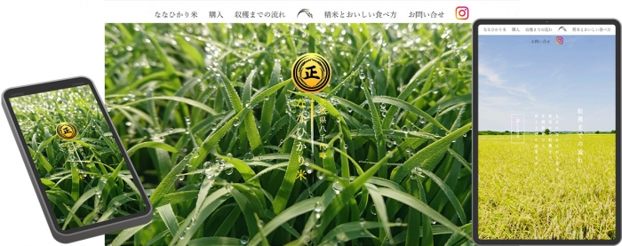 ウェブサイト